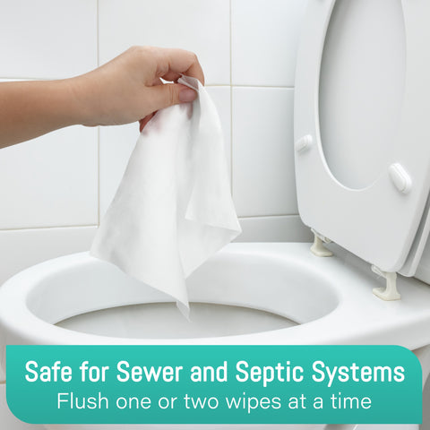 Large Flushable Wet Wipes for Adults And Elderly, Wet Wipes for Home Use, 6\